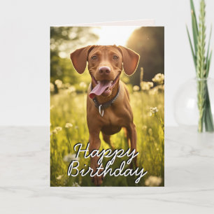 Tarjeta de cumpleaños personalizado Vizsla