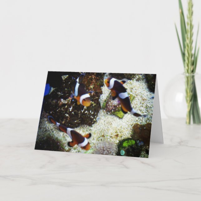 Tarjeta de cumpleaños "Pescado de payaso" (Anverso)