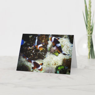 Tarjeta de cumpleaños "Pez Payaso"