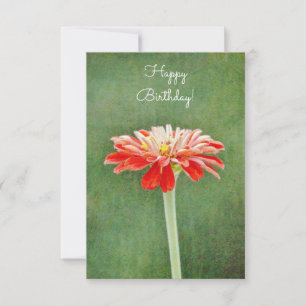 Tarjeta de cumpleaños plana de Zinnia Red Flower A