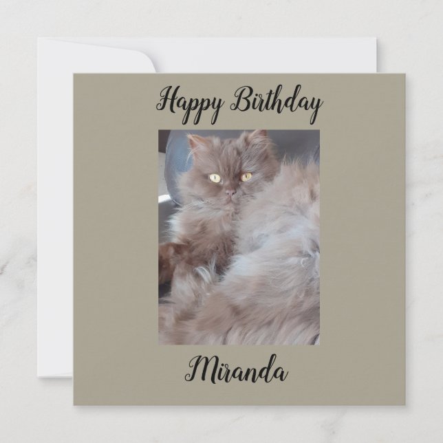 Tarjeta de cumpleaños plana para gatos de mal gust (Anverso)