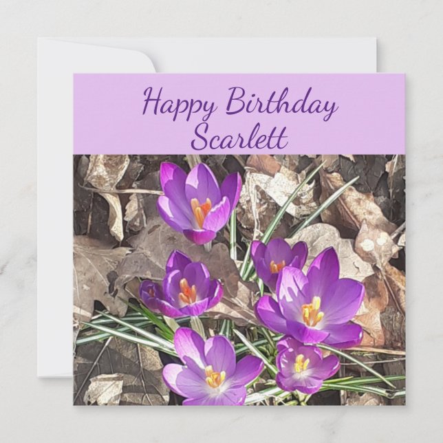 Tarjeta de cumpleaños plana Purple Crocus (Anverso)