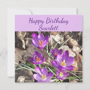 Tarjeta de cumpleaños plana Purple Crocus