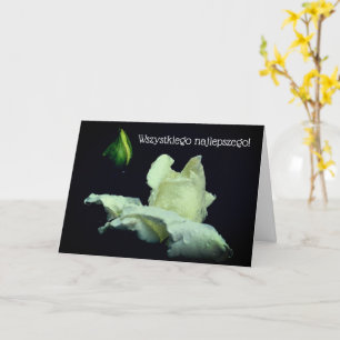 Tarjeta de cumpleaños polaca Sto Lat White Rosebud