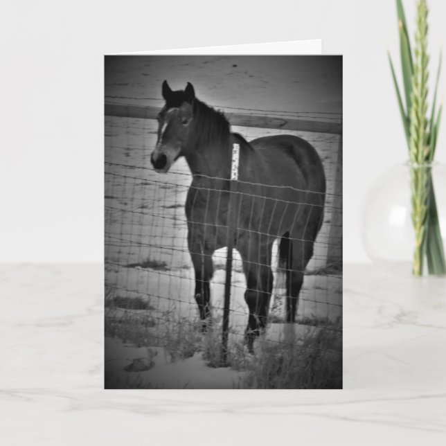 Tarjeta de cumpleaños "Ponte en tu caballo alto" (Anverso)