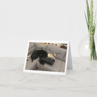 Tarjeta de cumpleaños Pug divertida