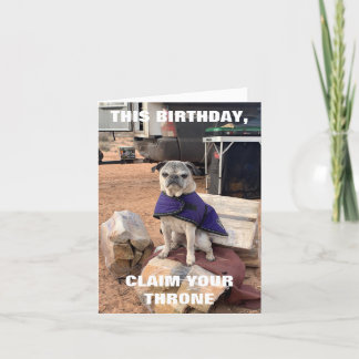 Tarjeta de cumpleaños Pug | Lily the Pug | sarcást