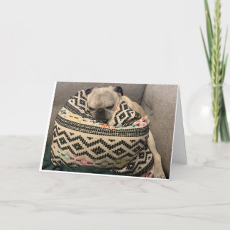 Tarjeta de cumpleaños Pug - Lugar feliz