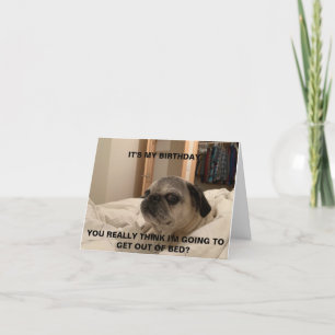 Tarjeta de cumpleaños Pug, tarjeta sarcástica