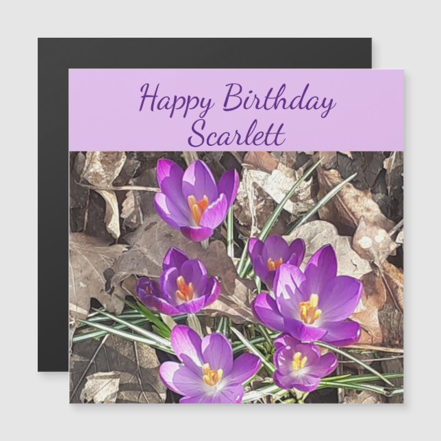 Tarjeta de cumpleaños Purple Crocus Magnetic (Anverso/Reverso)