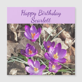 Tarjeta de cumpleaños Purple Crocus Magnetic