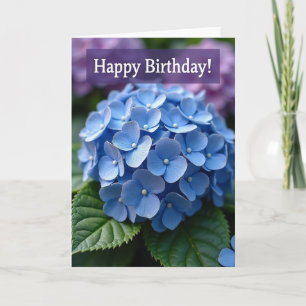 Tarjeta de cumpleaños Purple Haze