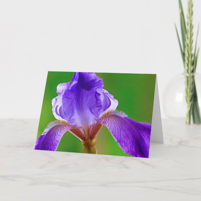 Tarjeta de cumpleaños Purple Iris (Anverso)