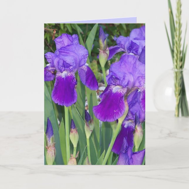 Tarjeta de cumpleaños Purple Irises (Anverso)