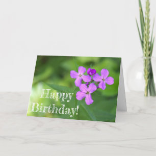 Tarjeta de cumpleaños Purple Wildflower