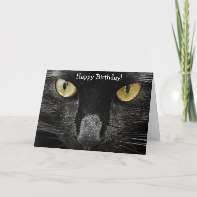 Tarjeta de cumpleaños: ¡Qué gato! ¡Qué mirada! (Anverso)