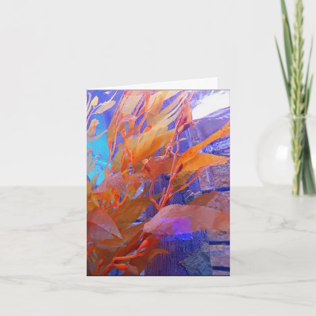 Tarjeta de cumpleaños - quelpo marino (Anverso)