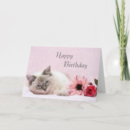 Tarjeta de cumpleaños Ragdoll