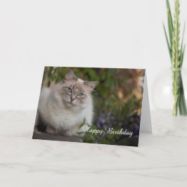 Tarjeta de cumpleaños Ragdoll