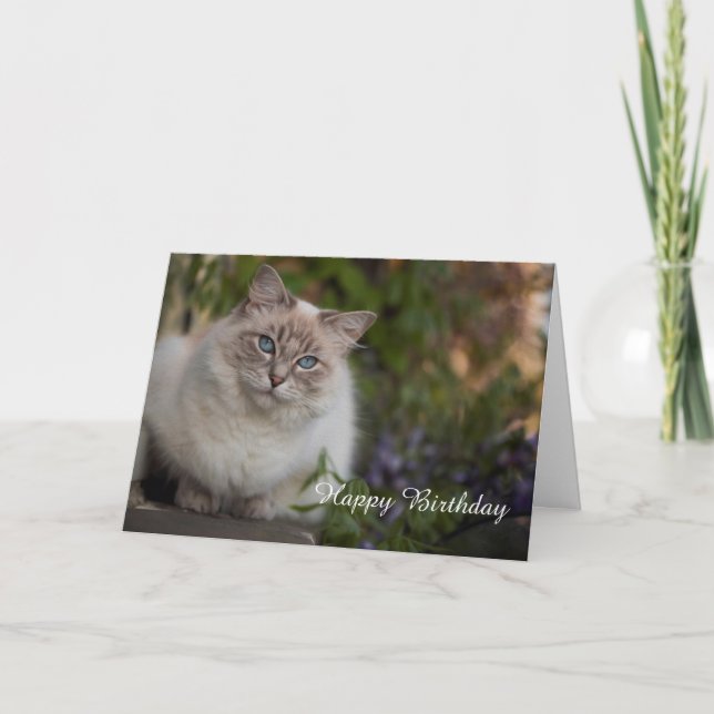 Tarjeta de cumpleaños Ragdoll (Anverso)