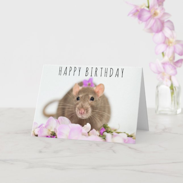 Tarjeta de cumpleaños Rat in the Flowers (Orquídea)