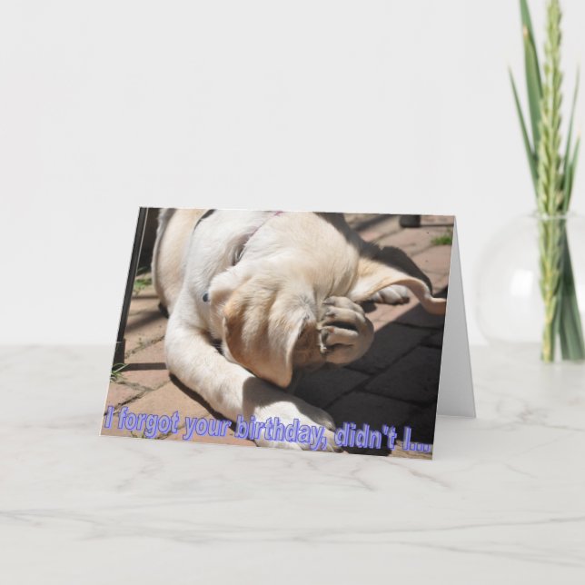 Tarjeta de cumpleaños retrasada (Anverso)