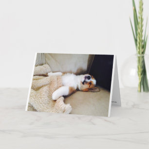 Tarjeta de cumpleaños retrasada - Corgi Puppy durm