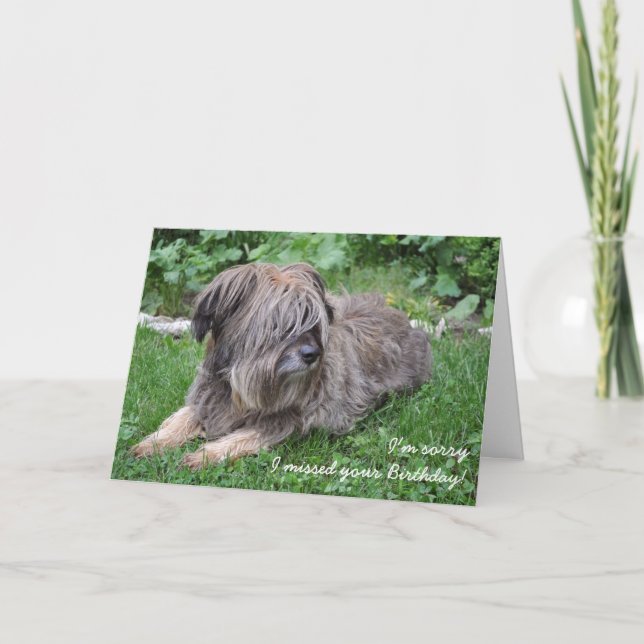 Tarjeta de cumpleaños retrasada de perro agobiante (Anverso)