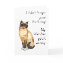 Tarjeta de cumpleaños retrasada - Gato de Birman