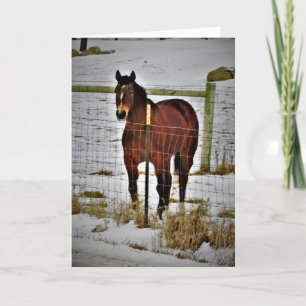 Tarjeta de cumpleaños "Ride Away"