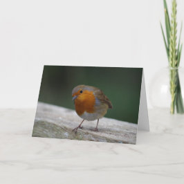 Tarjeta de cumpleaños Robin