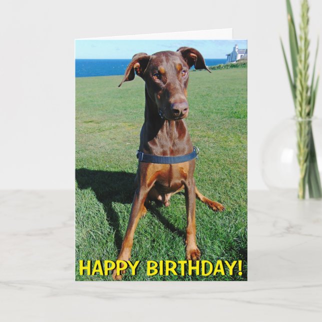 Tarjeta de cumpleaños roja linda del doberman (Anverso)