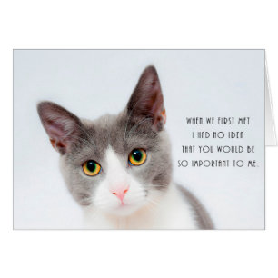 Tarjeta de cumpleaños romántica del amor del gato