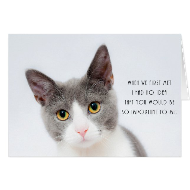 Tarjeta de cumpleaños romántica del amor del gato (Anverso (Horizontal))