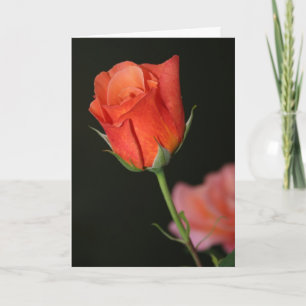 Tarjeta de cumpleaños romántica Rosa