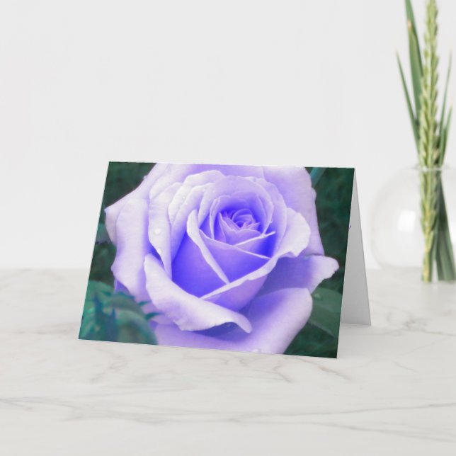 Tarjeta de cumpleaños Rosa Pale Lavender (Anverso)