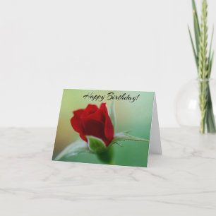 Tarjeta de cumpleaños Rosa Roja de Elegancia clási