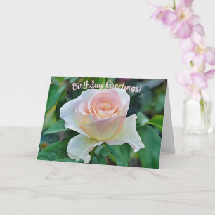 Tarjeta de cumpleaños Rosa rosa Rubor Flower Art
