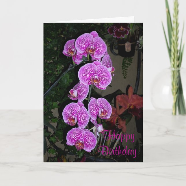 Tarjeta de cumpleaños rosada de la orquídea (Anverso)