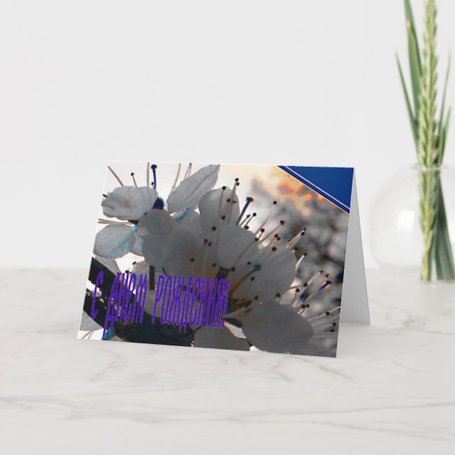 Tarjeta de cumpleaños rusa con flores de cerezo (Anverso)