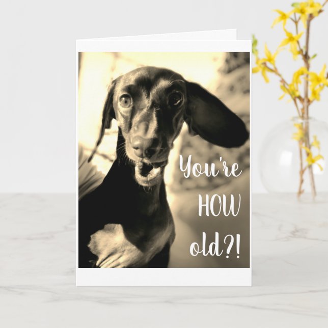 Tarjeta de cumpleaños Sausage Dog Funny (flor amarilla)