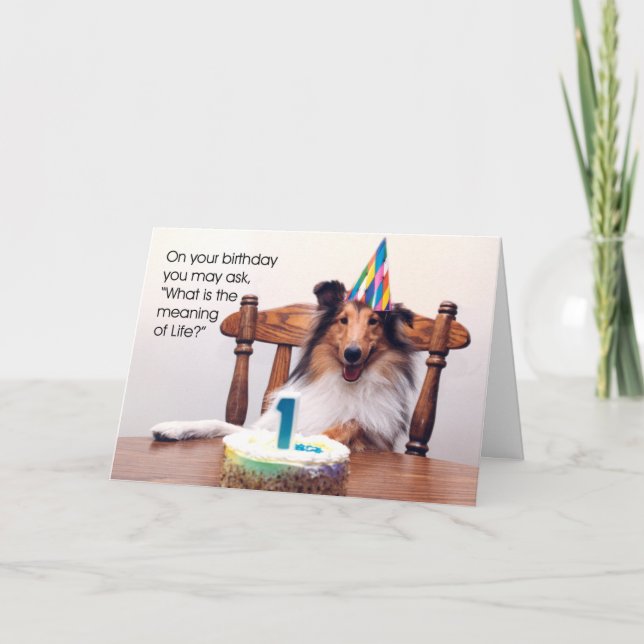 Tarjeta de cumpleaños Sheltie (Anverso)