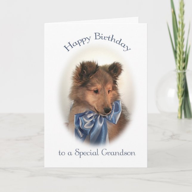 Tarjeta de cumpleaños Sheltie para nieto (Anverso)