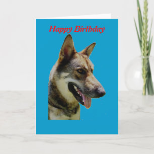 Tarjeta de cumpleaños Shepard de Alemania