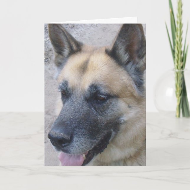 Tarjeta de cumpleaños Shepard de Alemania (Anverso)