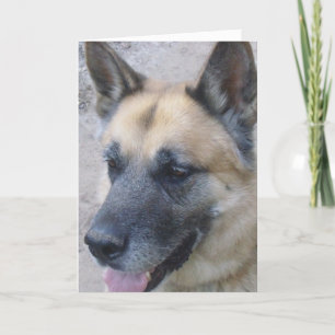 Tarjeta de cumpleaños Shepard de Alemania