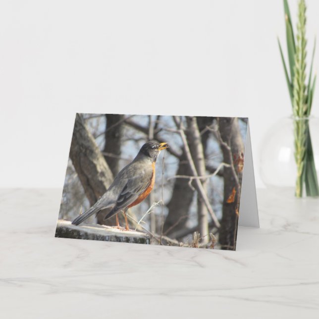 Tarjeta de cumpleaños "Singing Lakeside Robin" (Anverso)