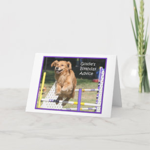 Tarjeta de cumpleaños "Smile" Golden Retriever Agi