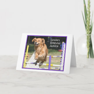 Tarjeta de cumpleaños "Smile" Golden Retriever Agi
