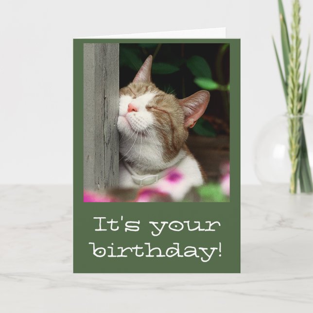 Tarjeta de cumpleaños sonriente del gato (Anverso)